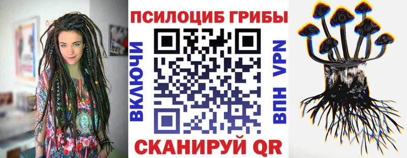 Купить закладки  Гусев  Псилоцибиновые грибы прущие грибы 
