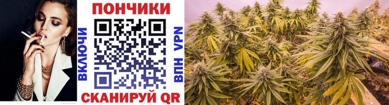 Каннабис AK-47 Купить закладки Гусев